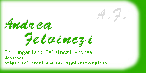 andrea felvinczi business card